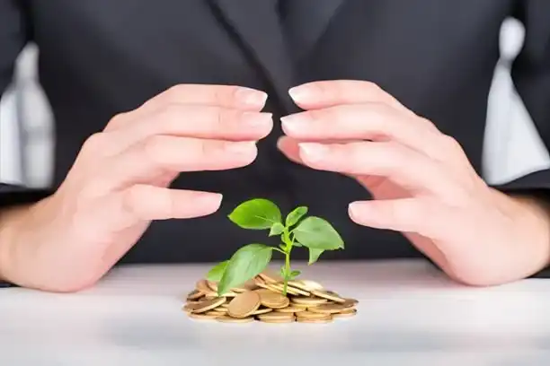 A symbolic image of a hand gently holding a sprouting plant, representing nurturing and growth.
